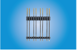 PITCH 2.54x8PIN 双排双塑180°排针